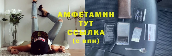 ГАЛЛЮЦИНОГЕННЫЕ ГРИБЫ Кодинск