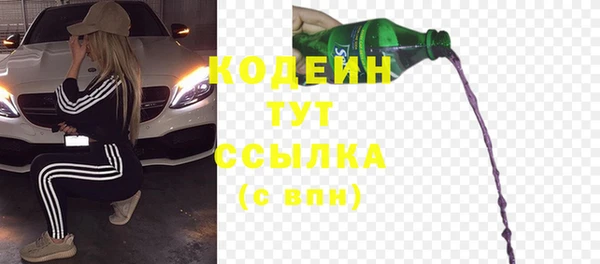 ГАЛЛЮЦИНОГЕННЫЕ ГРИБЫ Кодинск