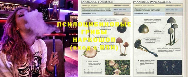 кокаин колумбия Козловка
