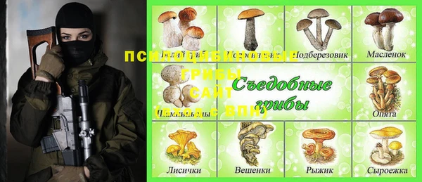 соль ск Козельск