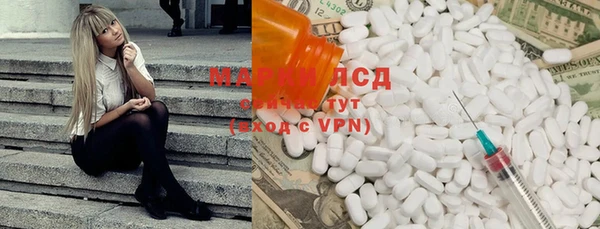 ГАЛЛЮЦИНОГЕННЫЕ ГРИБЫ Кодинск
